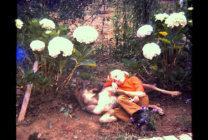 Le monde est rond Le monde est rond